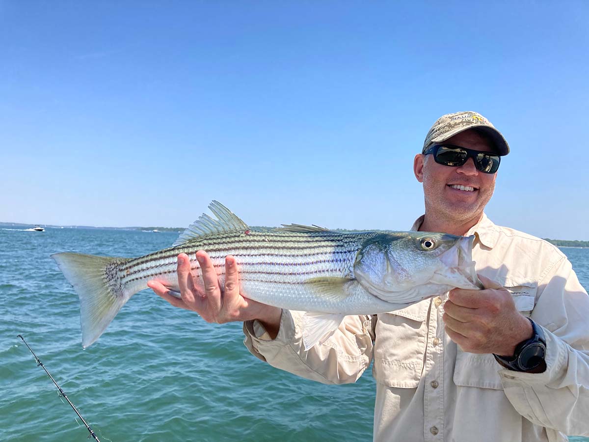 Striped Bass Fishing Charter Fun fishing trip striped bass catch